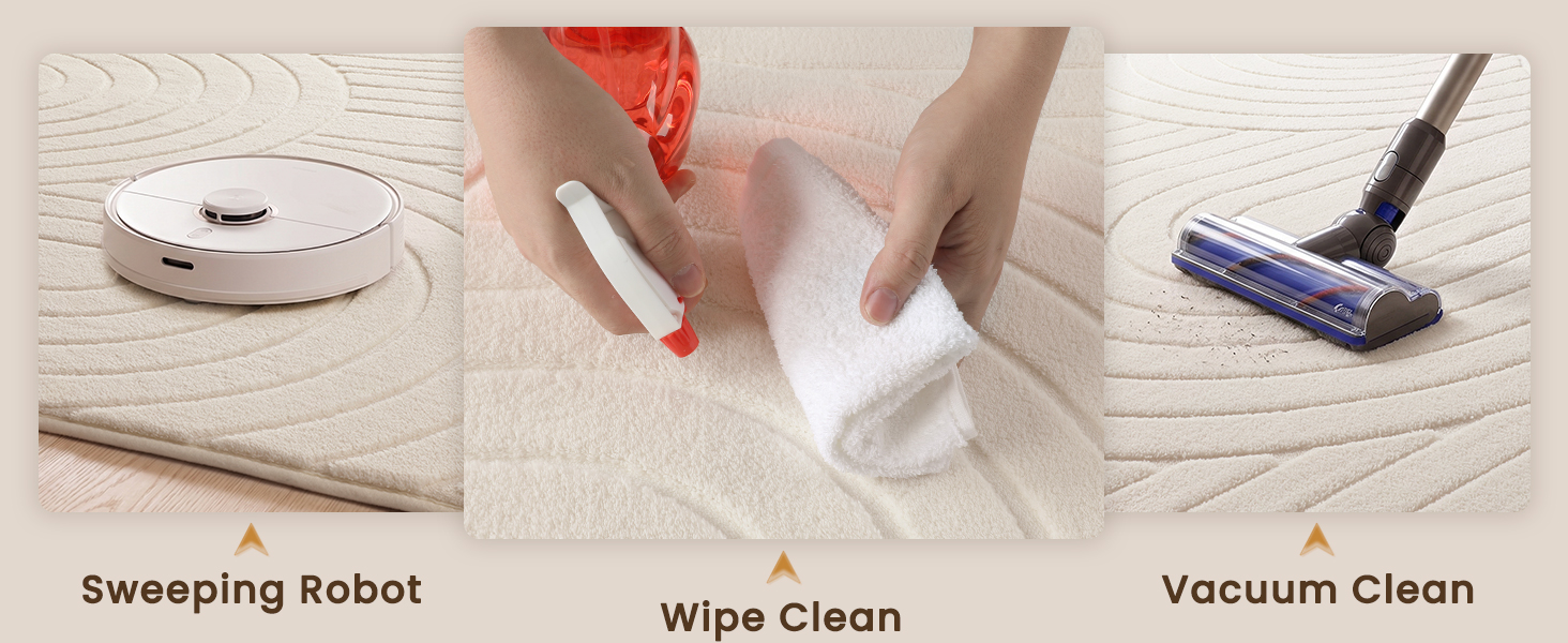 Rug cleaning methods including vacuuming and spot wiping